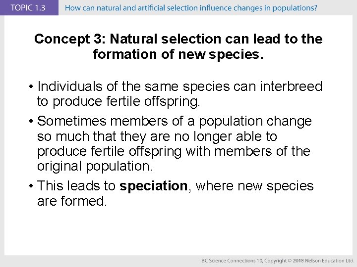 Concept 3: Natural selection can lead to the formation of new species. • Individuals