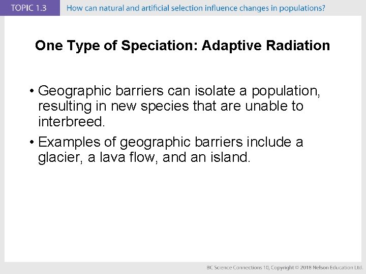 One Type of Speciation: Adaptive Radiation • Geographic barriers can isolate a population, resulting