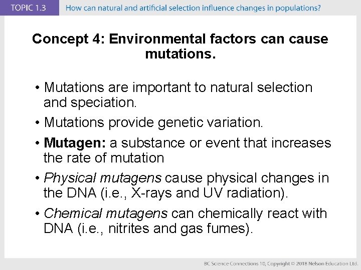 Concept 4: Environmental factors can cause mutations. • Mutations are important to natural selection