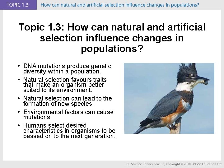 Topic 1. 3: How can natural and artificial selection influence changes in populations? •