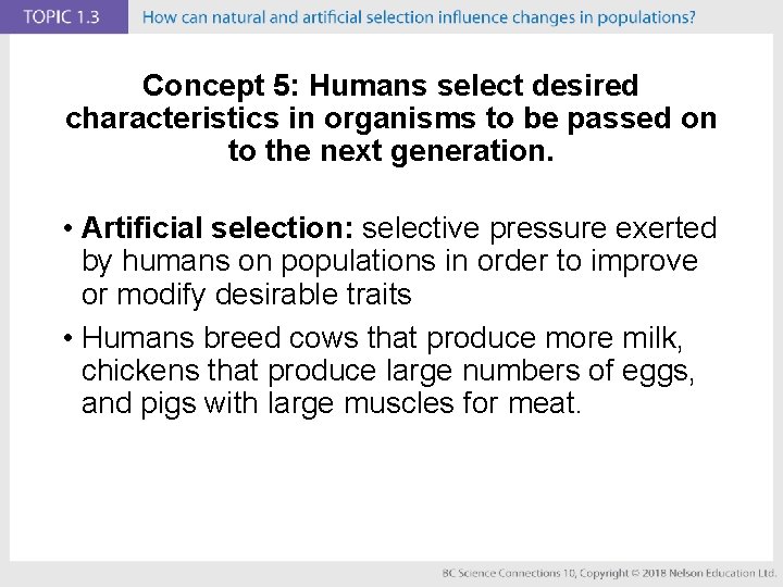 Concept 5: Humans select desired characteristics in organisms to be passed on to the