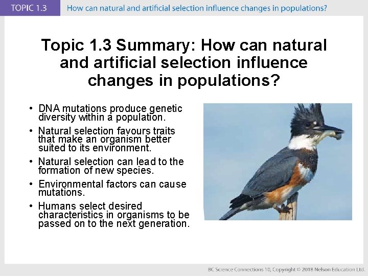 Topic 1. 3 Summary: How can natural and artificial selection influence changes in populations?