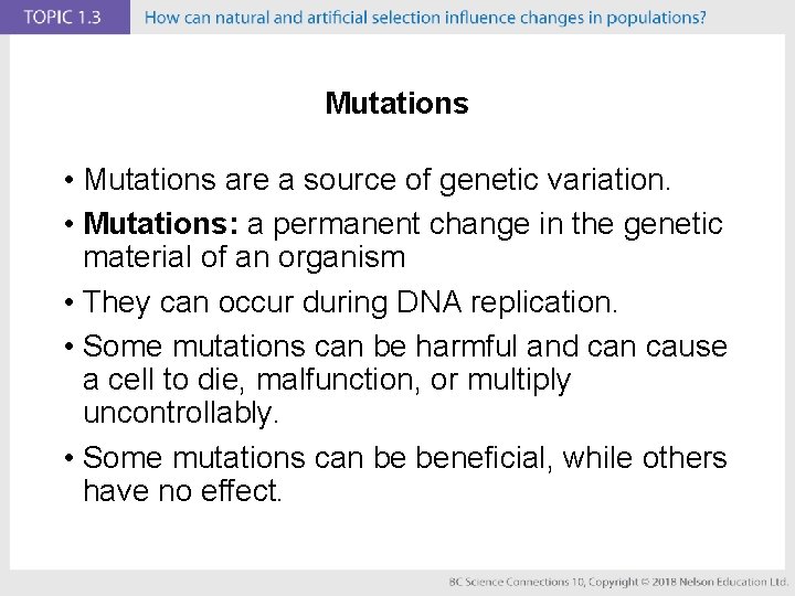 Mutations • Mutations are a source of genetic variation. • Mutations: a permanent change