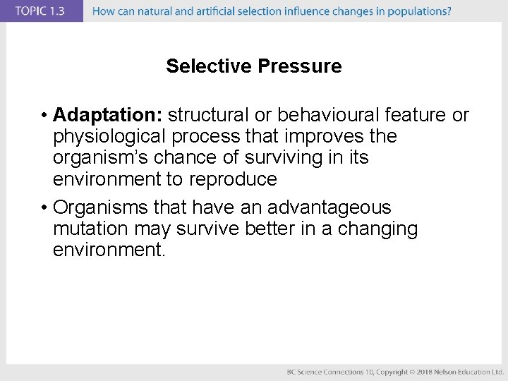 Selective Pressure • Adaptation: structural or behavioural feature or physiological process that improves the