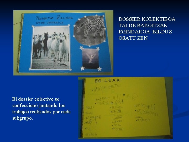 DOSSIER KOLEKTIBOA TALDE BAKOITZAK EGINDAKOA BILDUZ OSATU ZEN. El dossier colectivo se confeccionó juntando