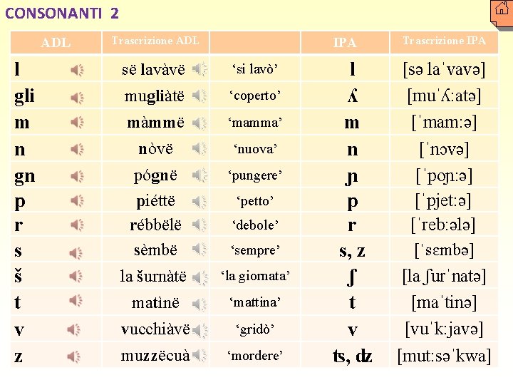 CONSONANTI 2 ADL l gli m n gn p r s š t v