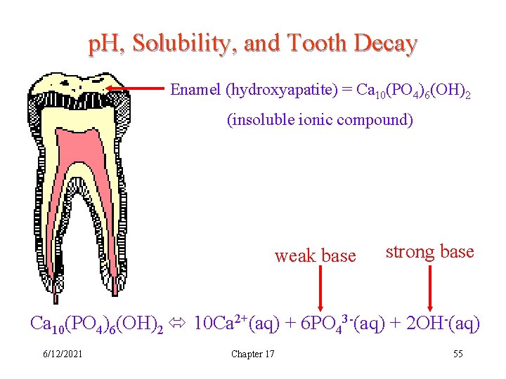 p. H, Solubility, and Tooth Decay Enamel (hydroxyapatite) = Ca 10(PO 4)6(OH)2 (insoluble ionic