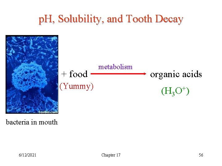 p. H, Solubility, and Tooth Decay + food metabolism (Yummy) organic acids (H 3