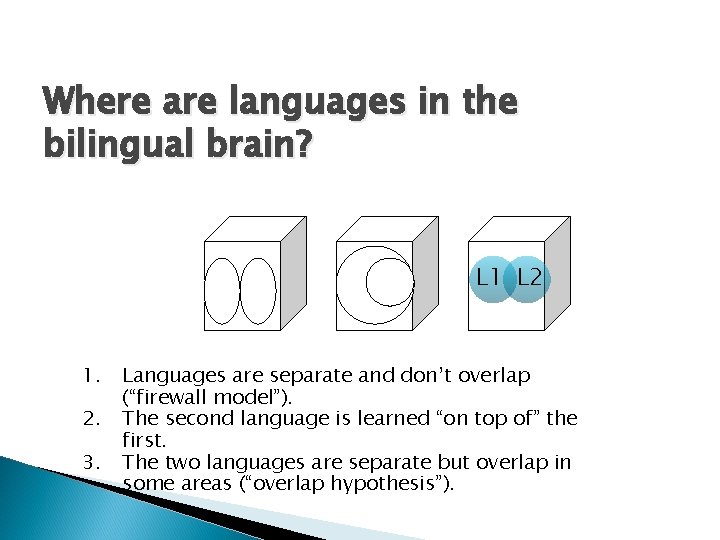 Where are languages in the bilingual brain? L 1 L 2 1. 2. 3.