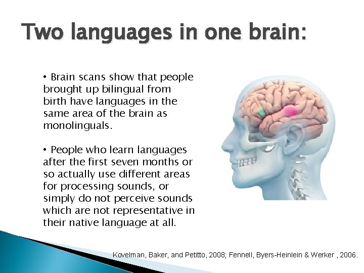 Two languages in one brain: • Brain scans show that people brought up bilingual