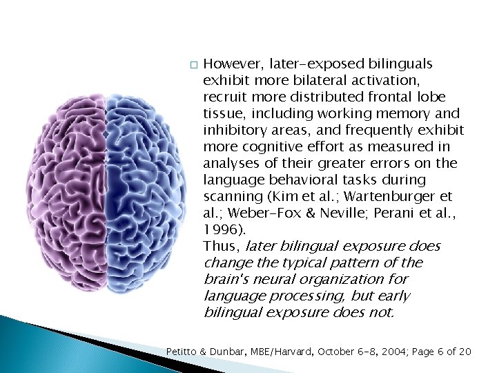 � � However, later-exposed bilinguals exhibit more bilateral activation, recruit more distributed frontal lobe