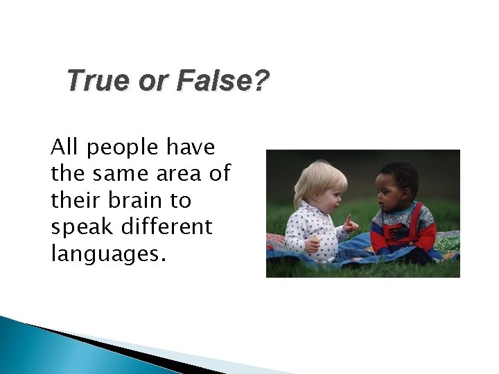 True or False? All people have the same area of their brain to speak True or False? All people have the same area of their brain to speak