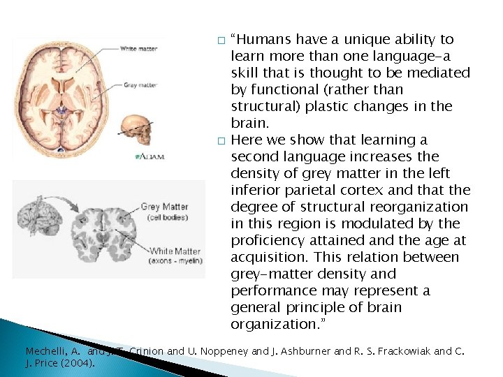 � � “Humans have a unique ability to learn more than one language-a skill � � “Humans have a unique ability to learn more than one language-a skill