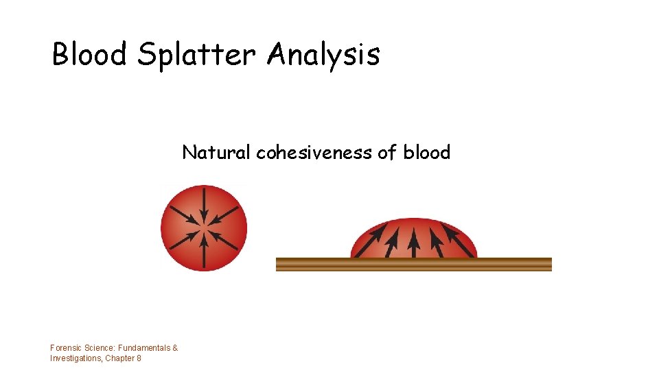 Blood Splatter Analysis Natural cohesiveness of blood Forensic Science: Fundamentals & Investigations, Chapter 8