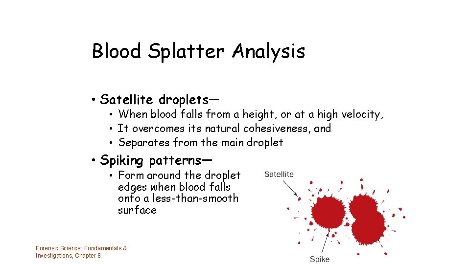 Blood Splatter Analysis • Satellite droplets— • When blood falls from a height, or