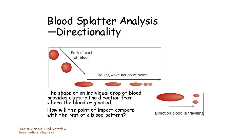 Blood Splatter Analysis —Directionality The shape of an individual drop of blood provides clues