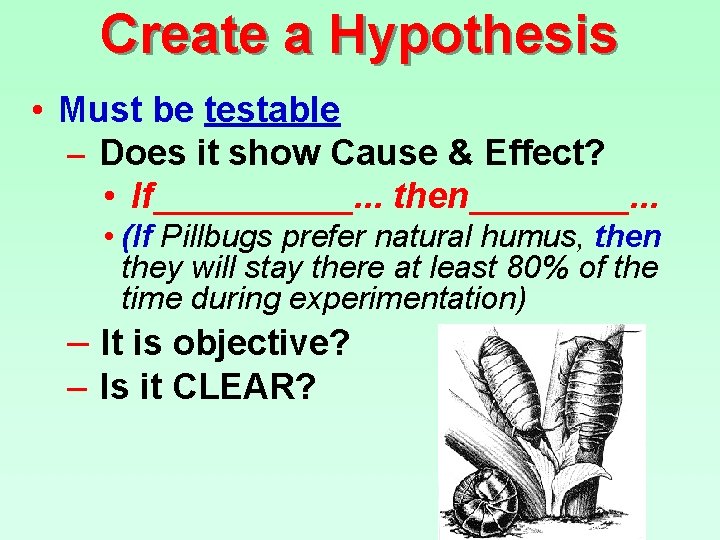 Create a Hypothesis • Must be testable – Does it show Cause & Effect?