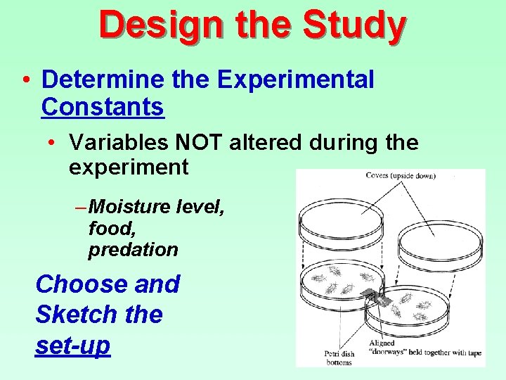 Design the Study • Determine the Experimental Constants • Variables NOT altered during the