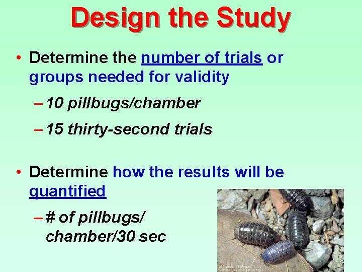 Design the Study • Determine the number of trials or groups needed for validity