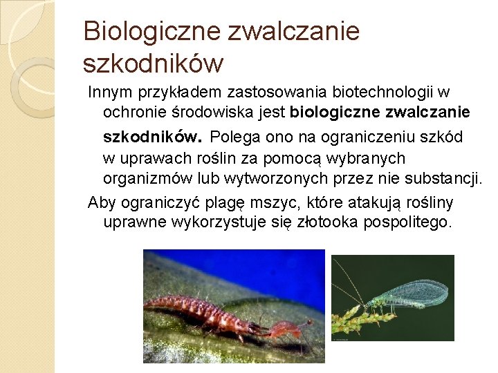 Biologiczne zwalczanie szkodników Innym przykładem zastosowania biotechnologii w ochronie środowiska jest biologiczne zwalczanie szkodników.