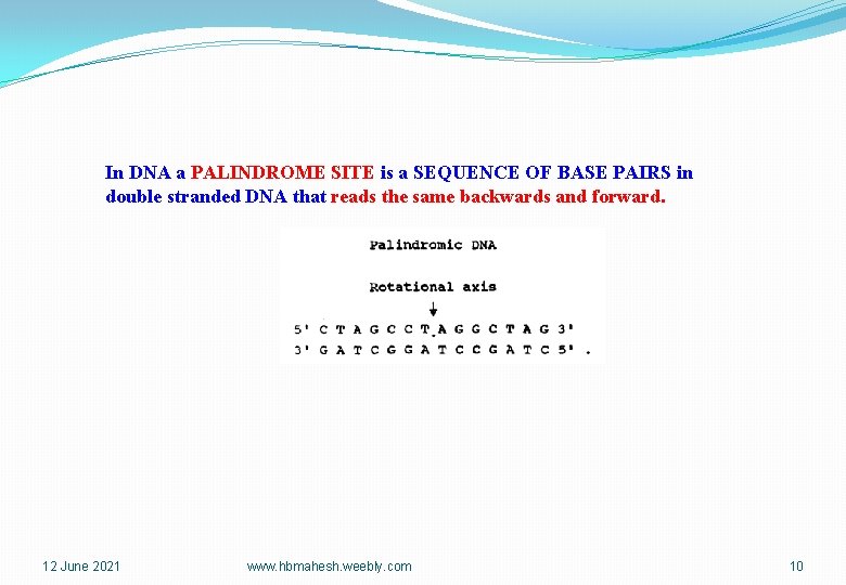 In DNA a PALINDROME SITE is a SEQUENCE OF BASE PAIRS in double stranded