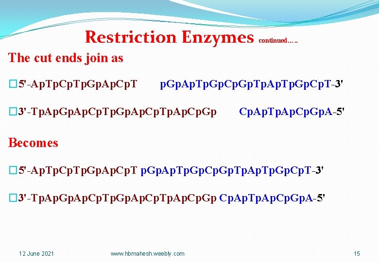 Restriction Enzymes continued…. . The cut ends join as � 5'-Ap. Tp. Cp. Tp.