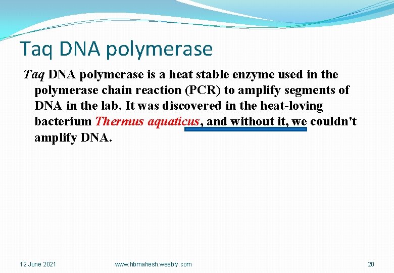 Taq DNA polymerase is a heat stable enzyme used in the polymerase chain reaction