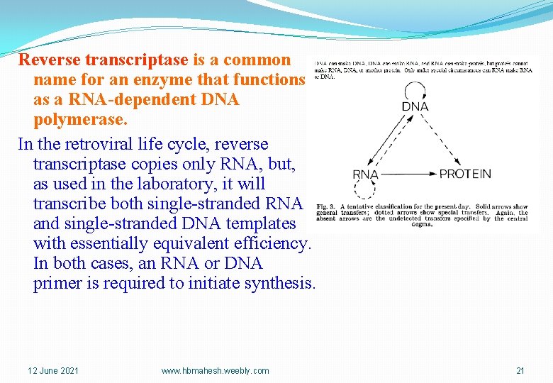 Reverse transcriptase is a common name for an enzyme that functions as a RNA-dependent