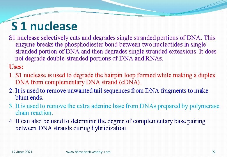 S 1 nuclease selectively cuts and degrades single stranded portions of DNA. This enzyme