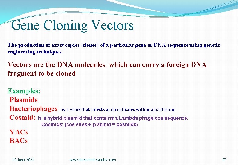 Gene Cloning Vectors The production of exact copies (clones) of a particular gene or