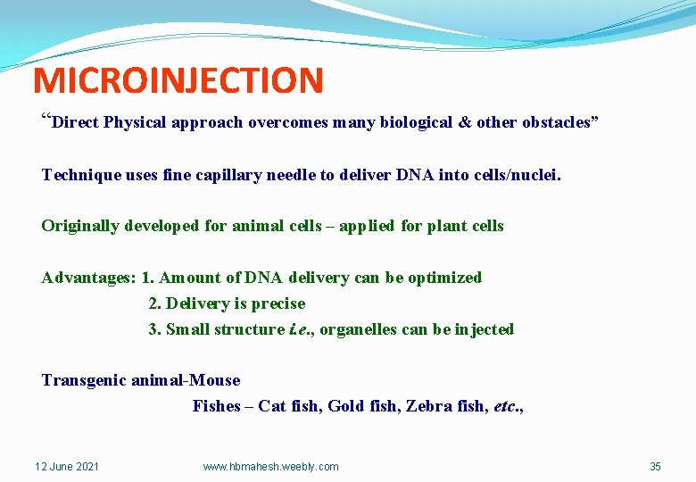 MICROINJECTION “Direct Physical approach overcomes many biological & other obstacles” Technique uses fine capillary