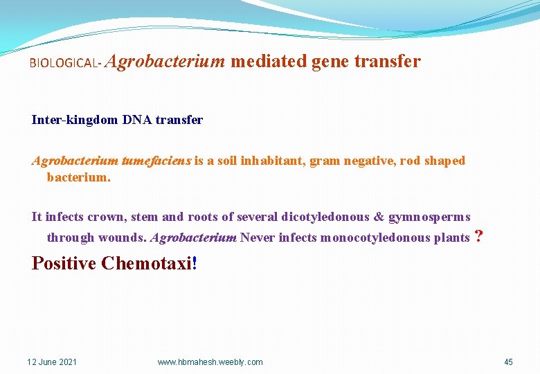 BIOLOGICAL- Agrobacterium mediated gene transfer Inter-kingdom DNA transfer Agrobacterium tumefaciens is a soil inhabitant,