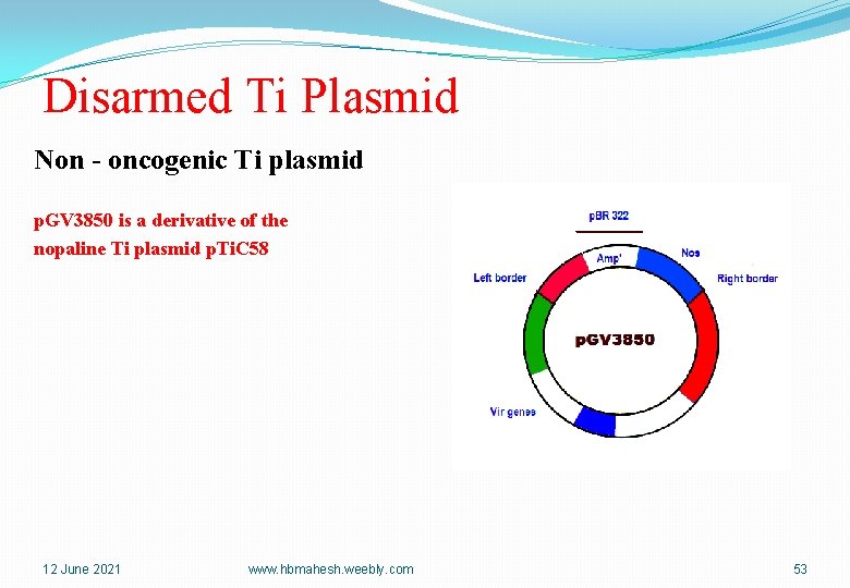 Disarmed Ti Plasmid Non - oncogenic Ti plasmid p. GV 3850 is a derivative