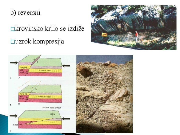 b) reversni � krovinsko � uzrok krilo se izdiže kompresija 