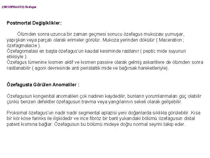 (OESOPHAGUS) Özefagus Postmortal Değişiklikler: Ölümden sonra uzunca bir zaman geçmesi sonucu özefagus mukozası yumuşar,