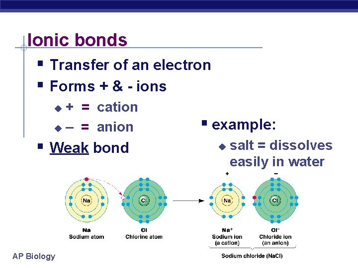 Ionic bonds § Transfer of an electron § Forms + & - ions +