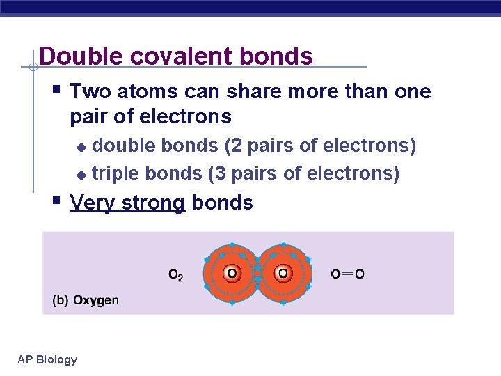 Double covalent bonds § Two atoms can share more than one pair of electrons
