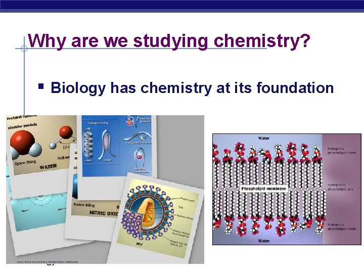 Why are we studying chemistry? § Biology has chemistry at its foundation AP Biology
