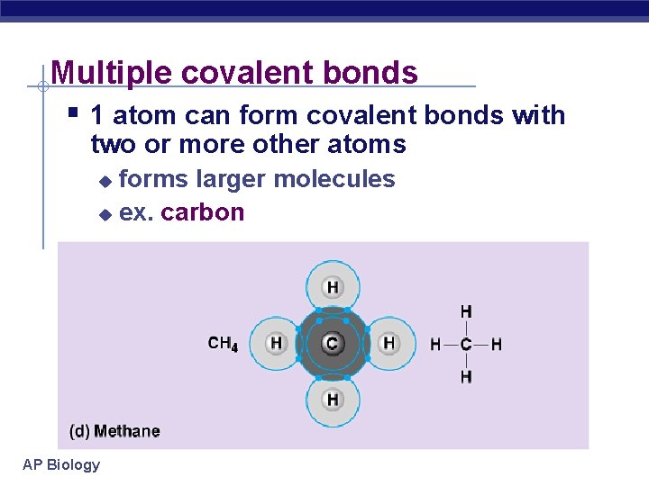 Multiple covalent bonds § 1 atom can form covalent bonds with two or more