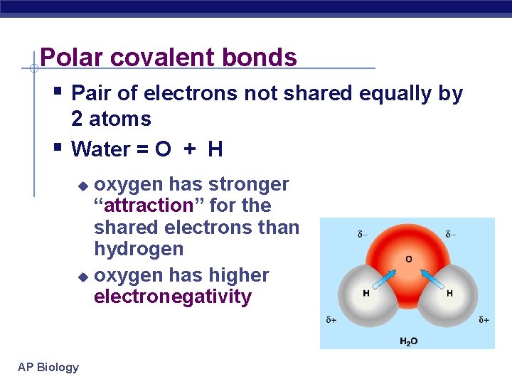 Polar covalent bonds § Pair of electrons not shared equally by § 2 atoms