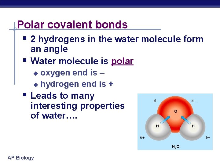 Polar covalent bonds § 2 hydrogens in the water molecule form § an angle