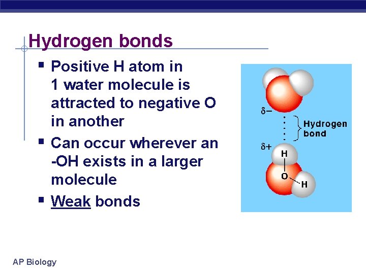 Hydrogen bonds § Positive H atom in § § 1 water molecule is attracted