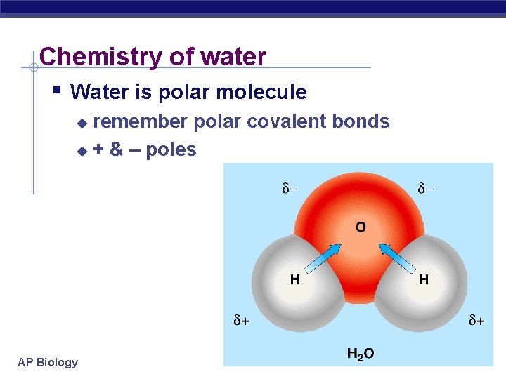 Chemistry of water § Water is polar molecule remember polar covalent bonds u +