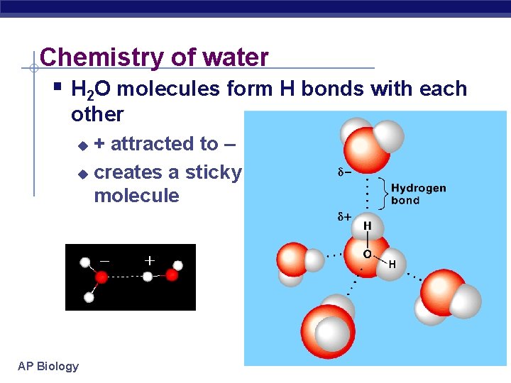 Chemistry of water § H 2 O molecules form H bonds with each other