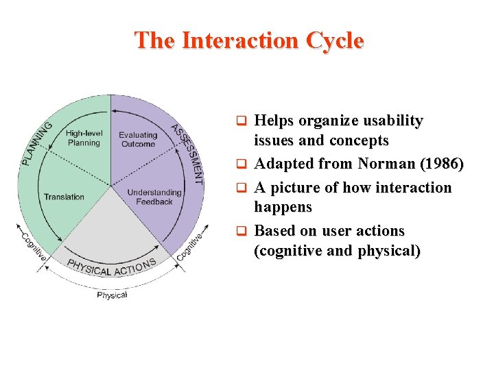 The Interaction Cycle Helps organize usability issues and concepts q Adapted from Norman (1986)