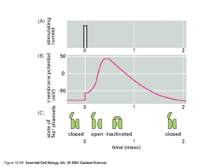 12_34_Ion_flows. jpg 