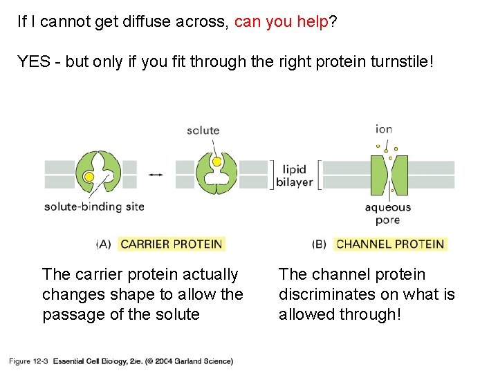 If I cannot get diffuse across, can you help? 12_03_carrier_channel. jpg YES - but