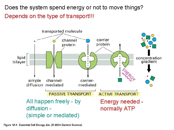 Does the system spend energy or not to move things? Depends on the type
