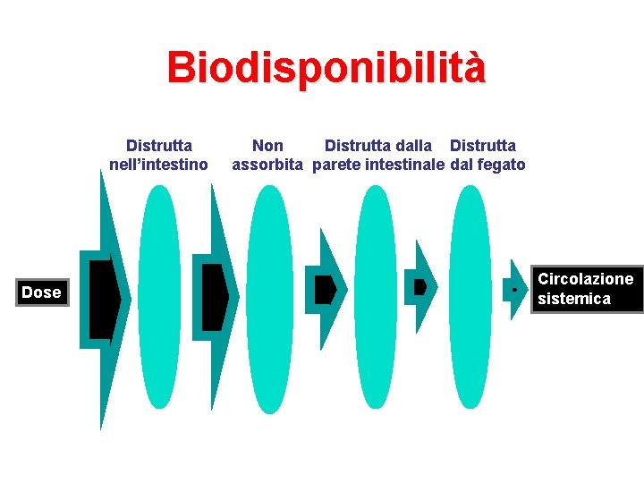 Biodisponibilità Distrutta nell’intestino Dose Non Distrutta dalla Distrutta assorbita parete intestinale dal fegato Circolazione