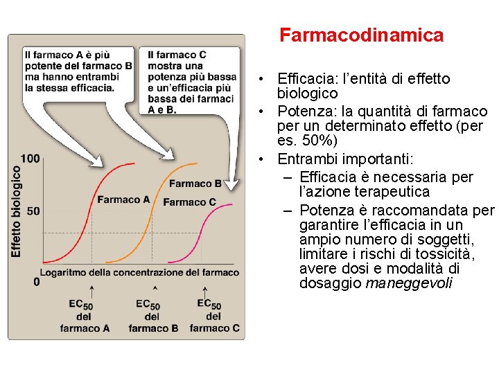 Farmacodinamica • Efficacia: l’entità di effetto biologico • Potenza: la quantità di farmaco per